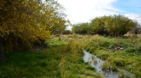 The Kamas Valley is home to the headwaters of the Weber River, as well as a large aquifer.