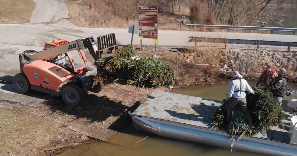 Kentucky Fish and Wildlife looking for used Christmas trees after the season to use as fish habitats