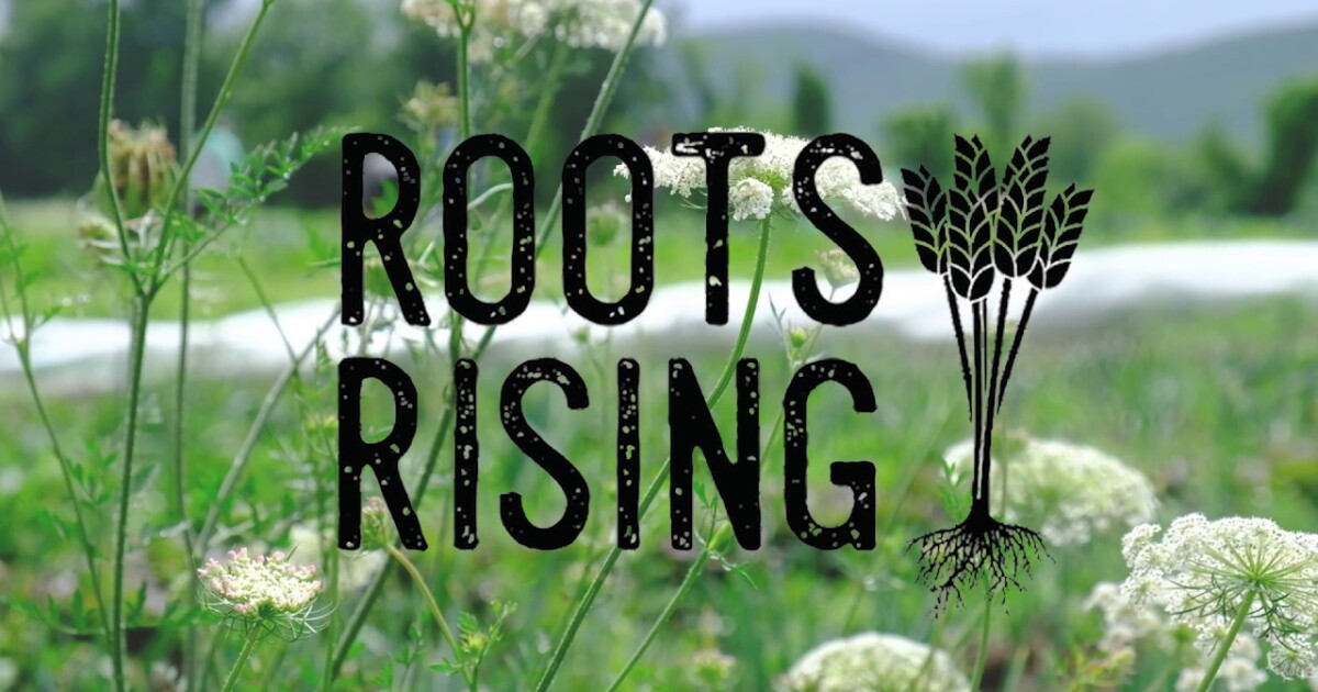 Roots Rising Virtual Farmers Market | WAMC