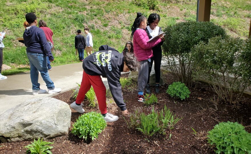 ECOS is a nature program that collaborates with the Springfield Public Schools. Here students explore plants at Forest Park in Springfield. 