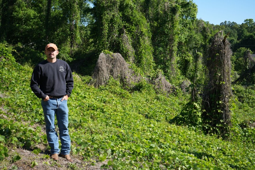 Jake Ramsey, owner and operator of Knox Goats, stands in a field of kudzu on May 8, 2026.