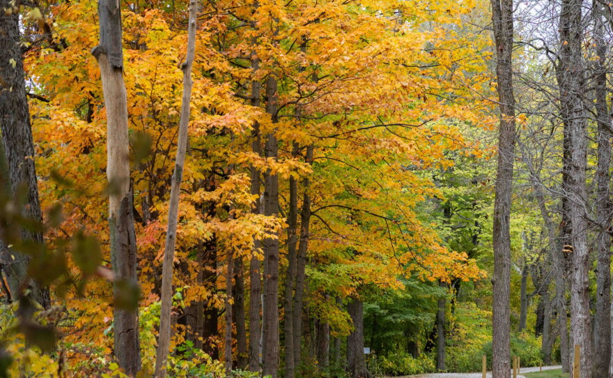 “Autumn provides Ohioans with a great chance to explore the outdoors and experience all of the unique activities that fall in Ohio has to offer." - ODNR Director Mary Mertz