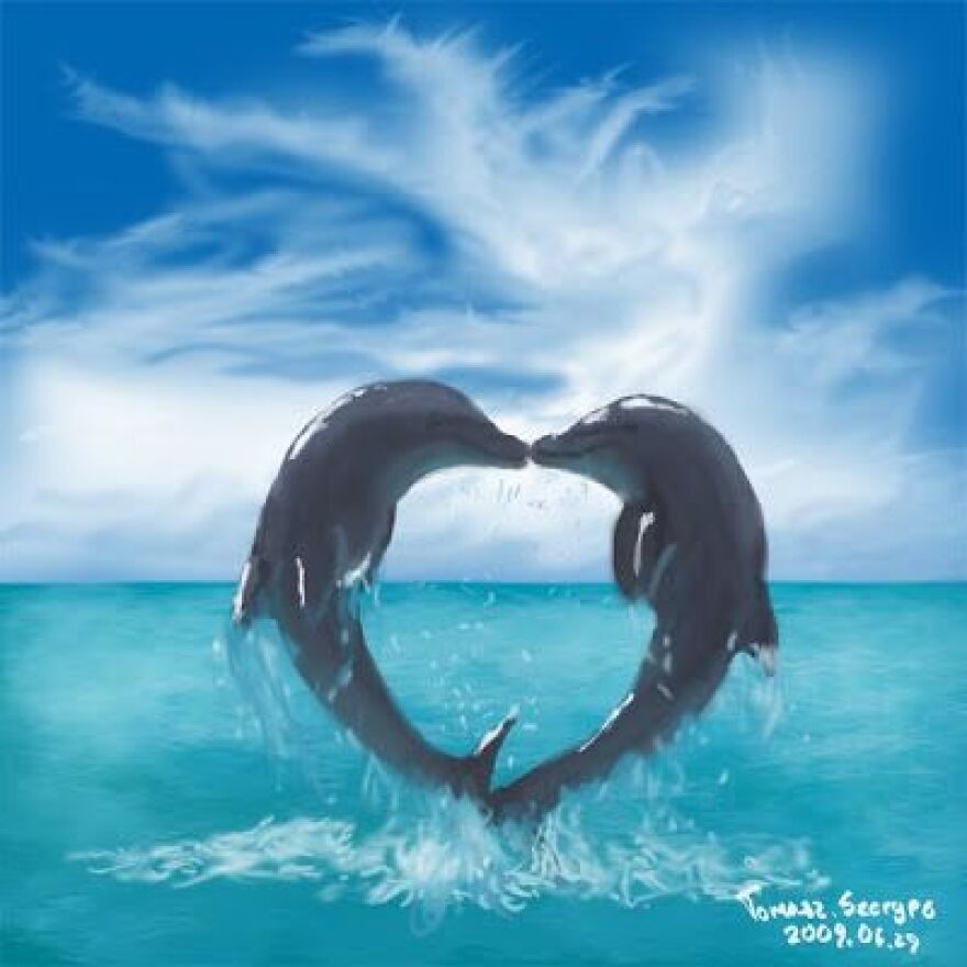 dolphn_dayi.jpg