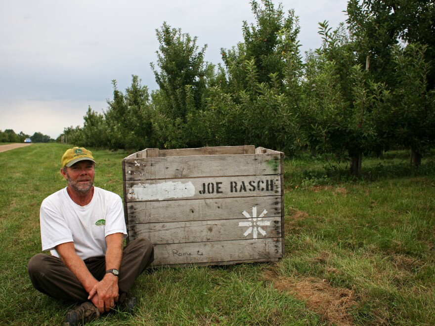 Joe Rasch has been a full-time apple grower for nearly 20 years. He says that this year, he's having trouble filling his bins.