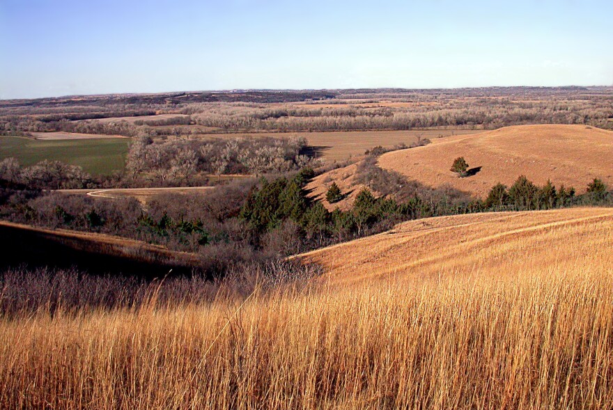 A photograph of the Flint Hills on a sunny day with tall golden grass and lines of trees all the way to the horizon.