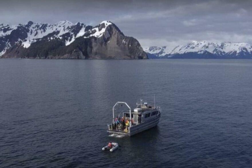 A small research vessel and a raft in the Gulf of Alaska, seen from the air