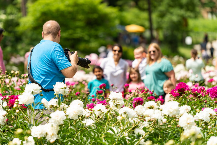 Matthaei Botanical Gardens; Joe Mooney