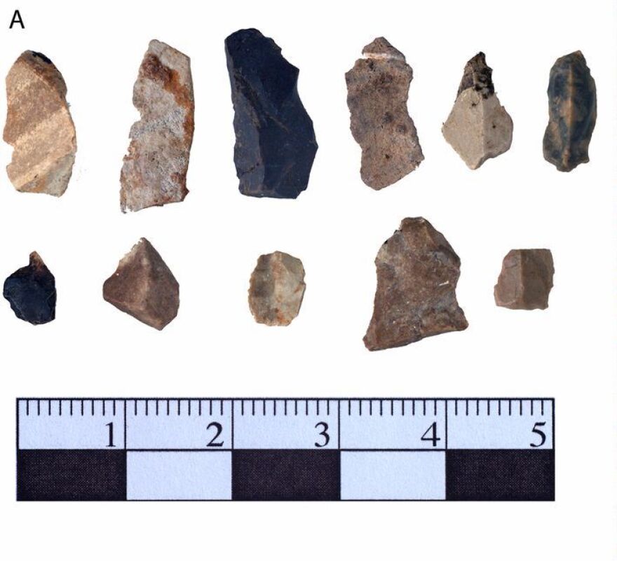 Stone tool debris found at the Drop 45 site. (courtesy: John O’Shea, University of Michigan)