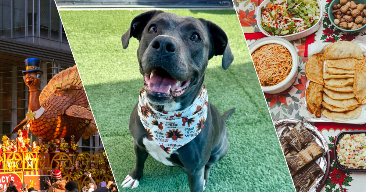 Thanksgiving dishes, a pet’s festive wishes, and your holiday traditions