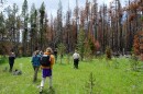 Ecologists, fire managers and journalists visit a burn site one year after lightning started the Bacon Rind Fire, July 10, 2019.