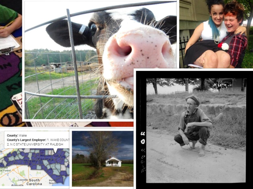 a collage of photos from the different stories