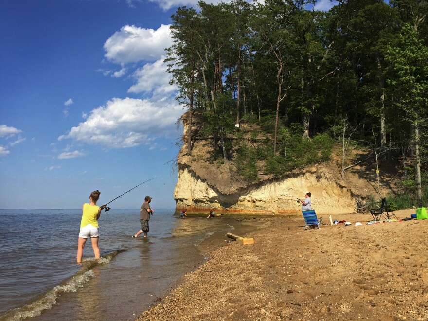 Westmoreland State Park in Virginia has a fossil beach where visitors can wade and sift for fossils that have fallen out of the cliffs.