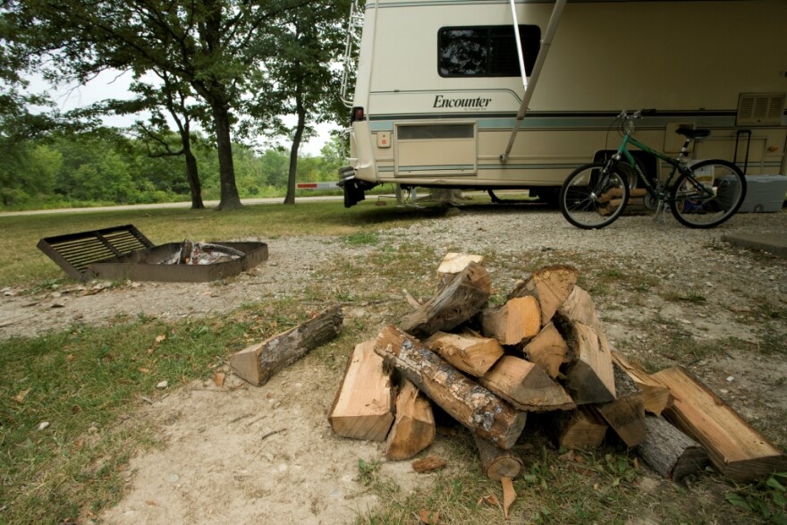 Emerald ash borers often spread when firewood is moved from place to place.