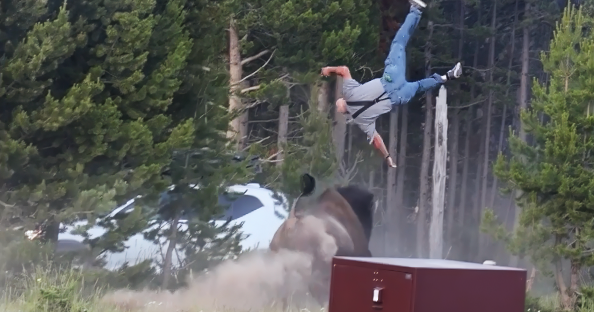 Photographer recounts moments leading up to man being thrown by bison in Yellowstone