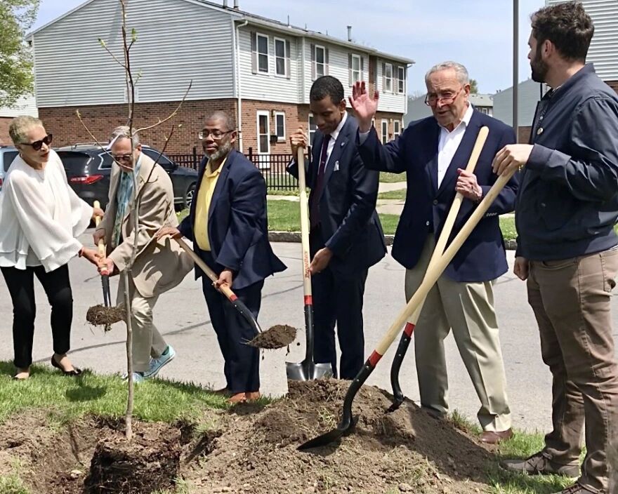 Sen. Chuck Schumer (D) joined Mayor Malik Evans (D) and others to plant a tulip tree on a street corner in Upper Falls, Rochester, in May of 2023. Schumer announced this week the city will be getting $3 million toward a plan to plant thousands of trees throughout Rochester.