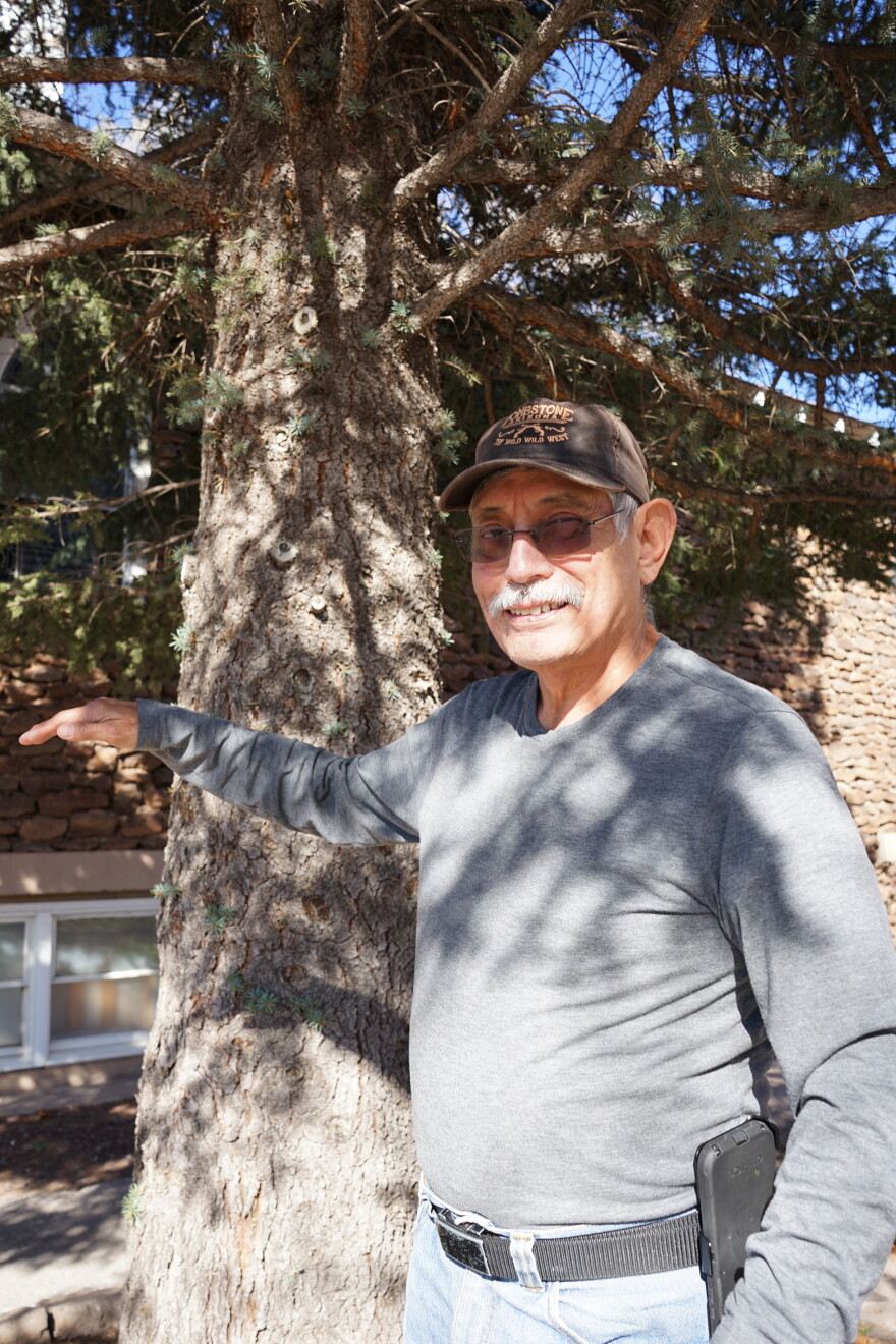 Jesse Dominguez stands by a pine tree outside Our Lady of Guadalupe in Flagstaff, Ariz. on March 2026. His family planted it as a sapling in the early 90s.