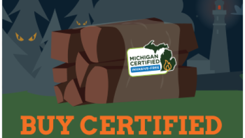 Avoid the horror. Buy certified firewood.