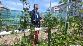 Christian Heiden, 24, founder of LEVO International, a hydroponic firm in Bloomfield, designed a rooftop garden at Hartford Hospital. Each PVC pipe grows as many as 80 plants, and Heiden says the hospital will give away the produce to patients who are unable to access fresh produce.