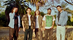 Local Natives are pictured outdoors in front of palm trees.