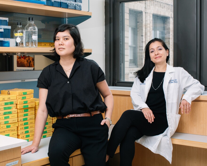 Their research is still in early stages, but Kristin Myers (left), a mechanical engineer, and Dr. Joy Vink, an OB-GYN, both at Columbia University, have already learned that cervical tissue is a more complicated mix of material than doctors ever realized.