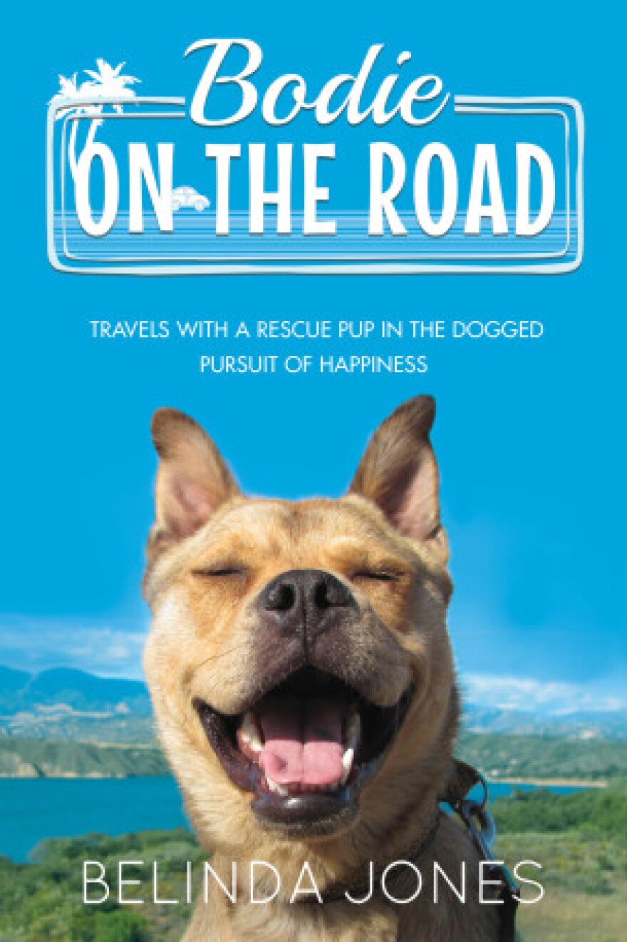 Bodie On The Road book cover