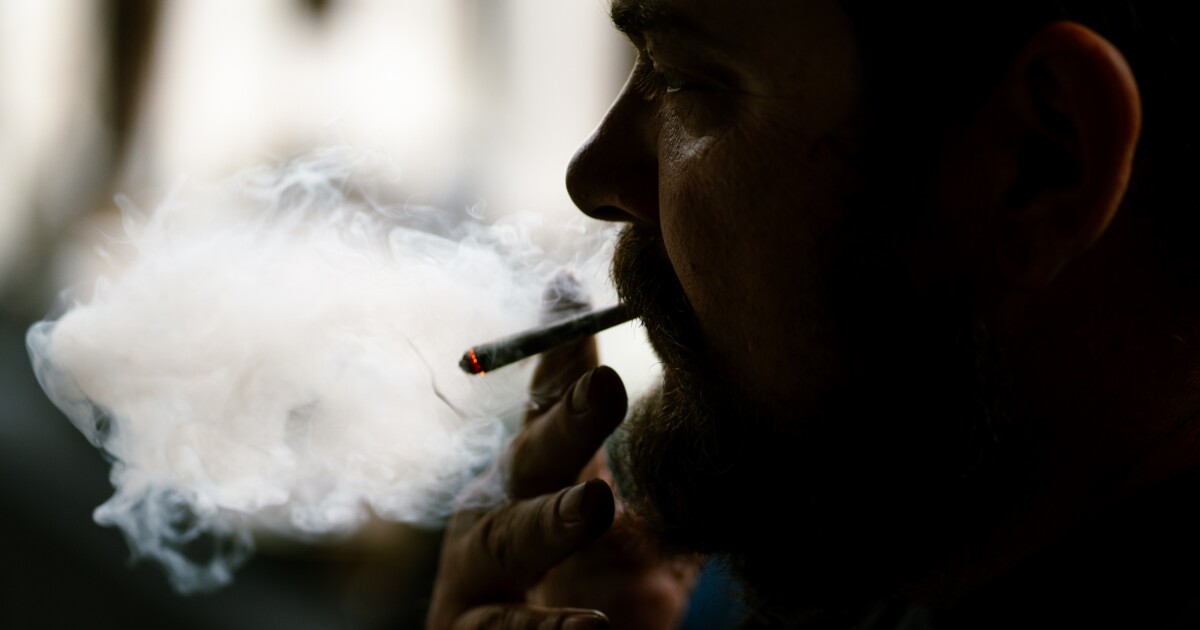 louis marks tobacco Missouri marks 420 cannabis holiday