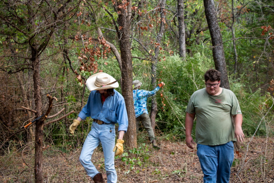 Volunteers cut down privet at Pontotoc Ridge Preserve.