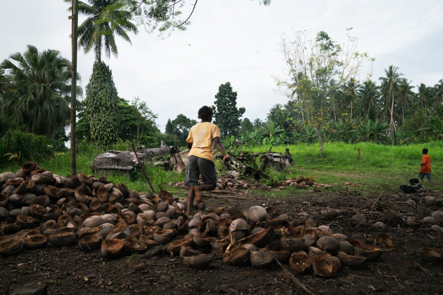 Children play on a coconut plantation on New Britain island, where piles of aviation wreckage from World War II lie in the open.