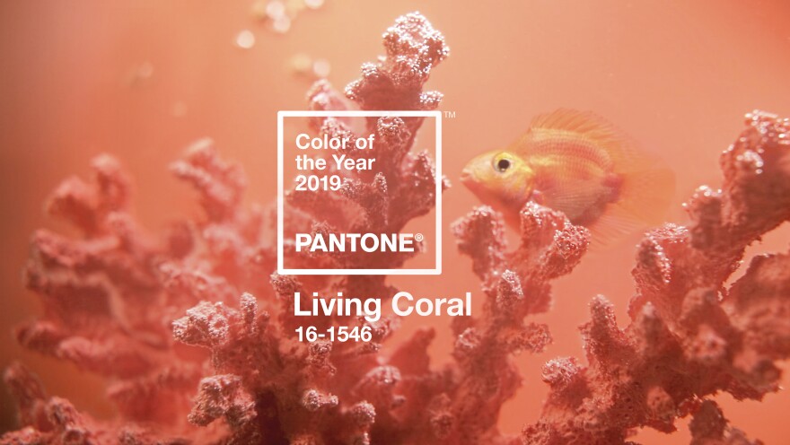 Living Coral is the Pantone Color Institute's color of the year for 2019. The vibrant hue represents "the fusion of modern life," the institute explains.