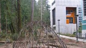 A geodesic dome outside a building at Evergreen State College, built from fallen branches.