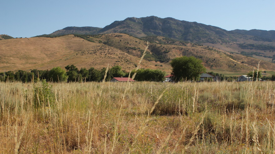 The view from the Blue Nixon farm conservation easement in Ogden Valley. 