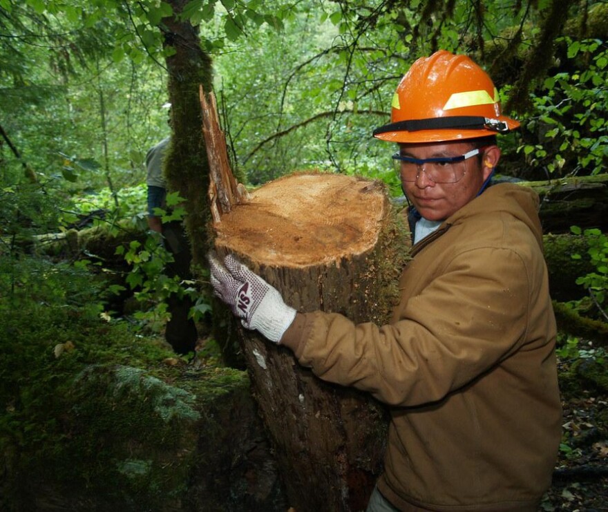 Timber Lake Job Corps Center student Marvin Nez carries a section of fallen log to be placed in the water during a streamside restoration project on the Clackamas River on Sept. 29, 2009, in Estacada, Ore. The project enhances the spawning areas of native salmon on the river. CREDIT: KEITH RIGGS/USDA-Forest Service