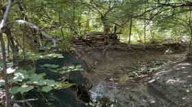 View of Liberty Creek, Late 2024.