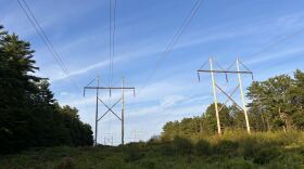 Power lines in Windham on July 19, 2025.