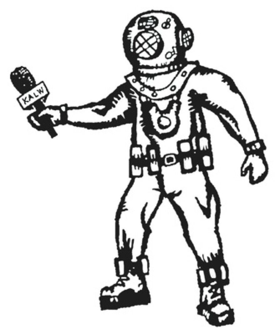 Crosscurrents_Diver.jpg