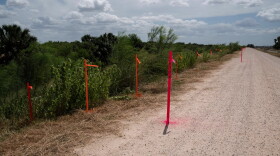 Survey stakes mark the proposed location of the border wall at the Santa Ana National Wildlife Refuge near Alamo on July 8, 2026.
