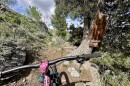 The handlebars of a mountain bike in front of a National Forest Service sign. 