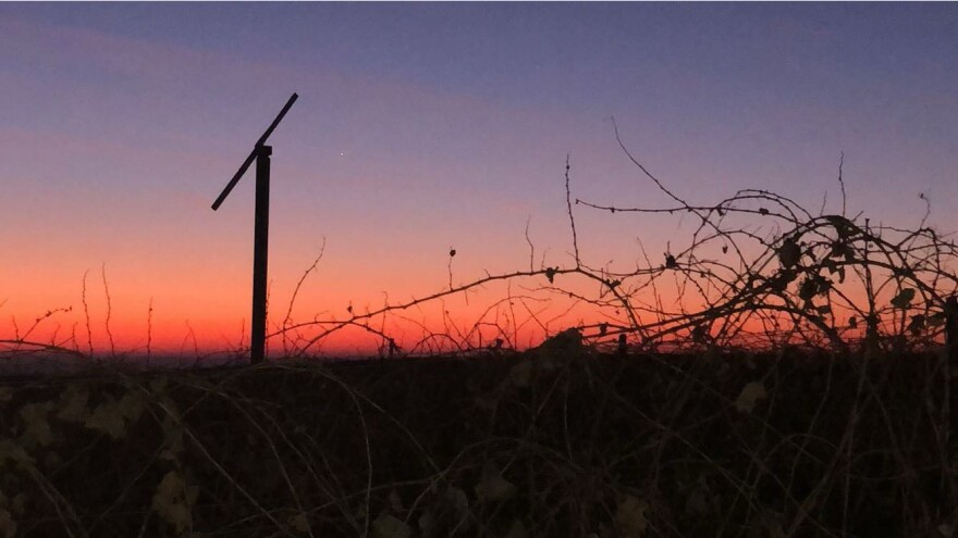 Bare wine grapes and a wind machine show off their forms in the sunset. (Courtesy: Chris Larson)