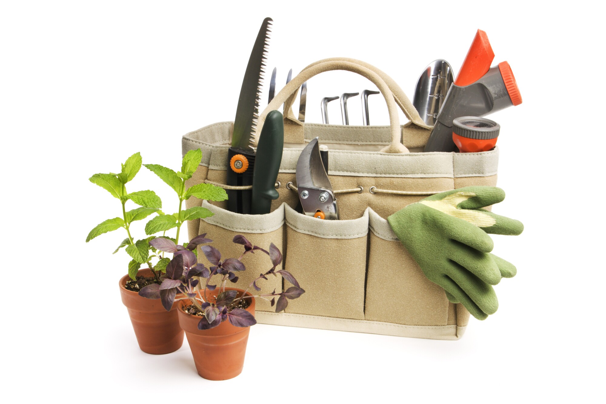 Gift ideas for the gardener on your list episode artwork