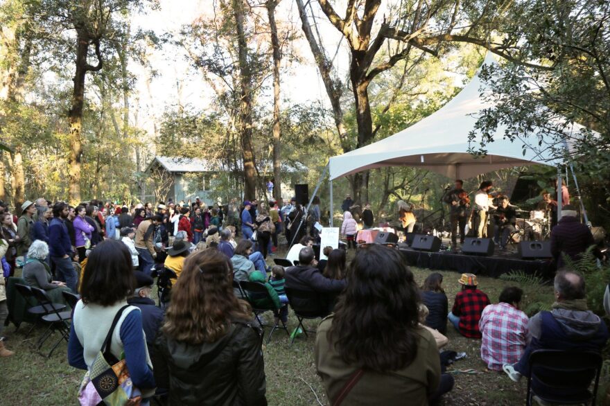 Musicians perform for a crowd at FORESTival 2019.