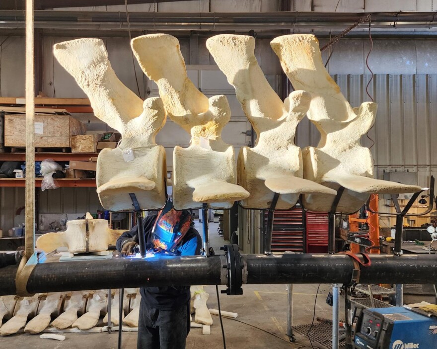 A Dinosaur Valley Studios employee welds the stainless steel framework that will hold the skeleton of the blue whale that washed ashore in southern Oregon in 2015 and is expected to be placed outside the Hatfield Marine Science Center in mid-May.