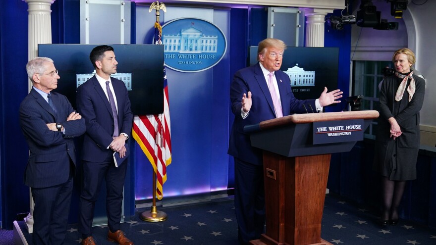 President Trump holds a briefing with the coronavirus task force at the White House on April 1. [Mandel Ngan / AFP via Getty Images]