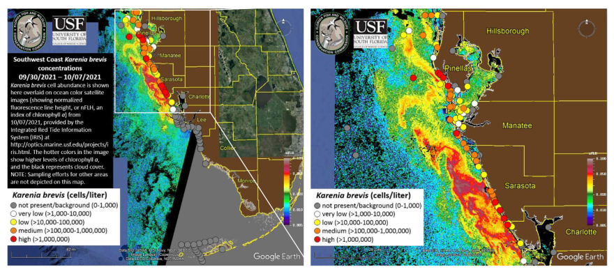  Map of red tide