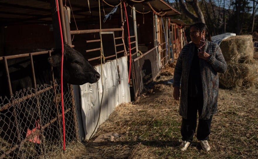 Garcia greets Beck, the bull in her backyard, whom she’s cared for the last 18 months.