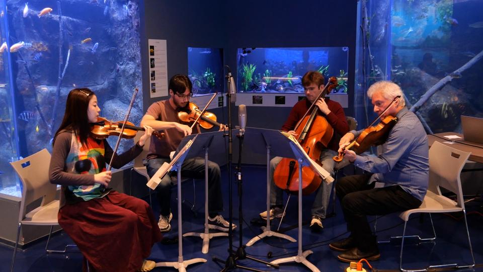 Ed Gazouleas on viola, Miles Huang Yixiang Wang on violin, and Alexander Davis-Pegis on cello.