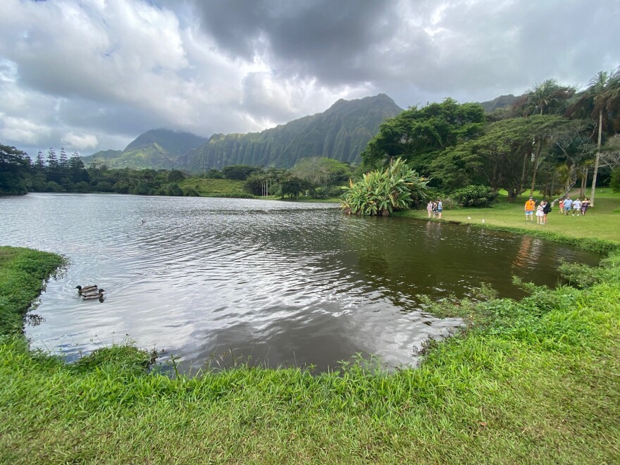 A view of the lake area at Hoʻomaluhia Botanical Garden. (April 27, 2026)