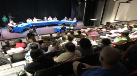 Cincinnati committee held a public hearing on the city's budget at Madcap Theatre Tuesday evening.