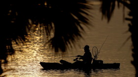 A man fishes in the Indian River Lagoon at sunrise Saturday, May 30, 2020, at Titusville.