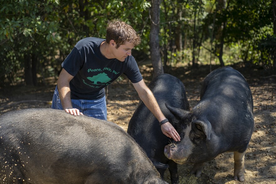 Green Finned Hippy Farm in Pocahontas, Illinois, is one of a dozen farms that have joined the Known & Grown campaign to connect people, restaurants and grocery stores with farmers who use environmentally responsible practices.