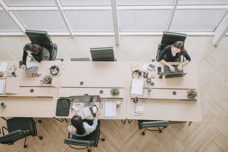 women working at a long desk on computers